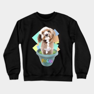 pochi Crewneck Sweatshirt